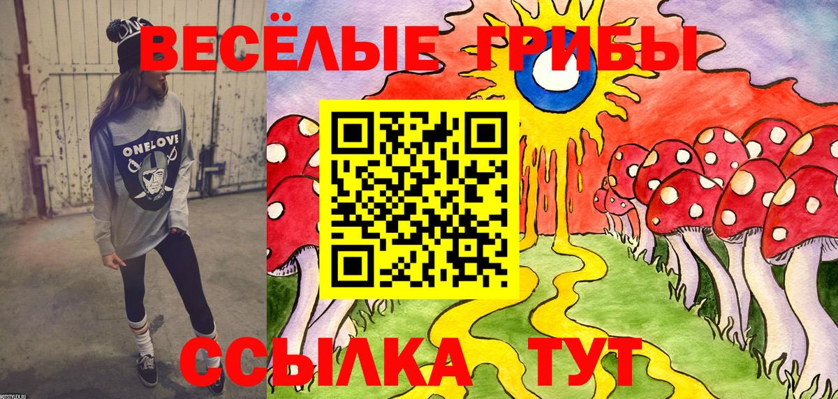 Псилоцибиновые грибы мицелий Морозовск