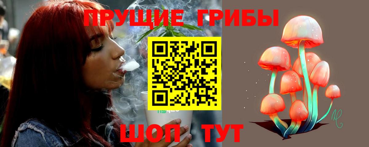 где купить наркоту  Псилоцибиновые грибы ЛСД  Вход с VPN  Морозовск  Галлюциногенные грибы мицелий 